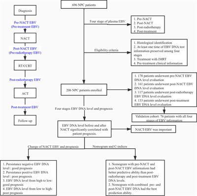 Frontiers Prognostic Value Of Plasma Epstein Barr Virus Dna Levels